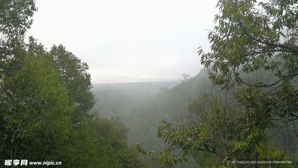 蓝天绿野