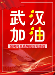 武汉加油  新型冠状病毒