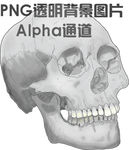 骷髅头