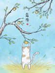 霜降
