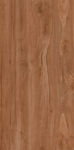 橡木木纹瓷砖 高清大图素材