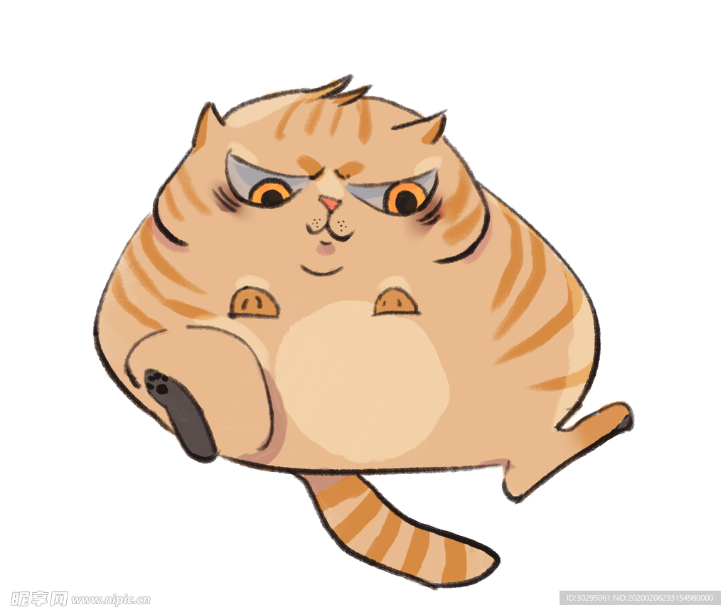 橘猫