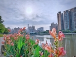 河边
