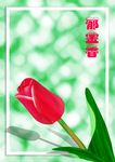 手绘小清新植物花卉郁金香分层