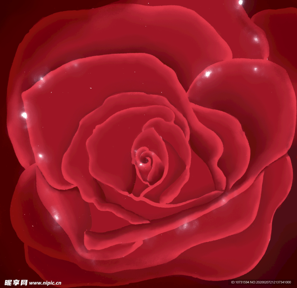 玫瑰花