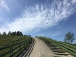 唯美风景