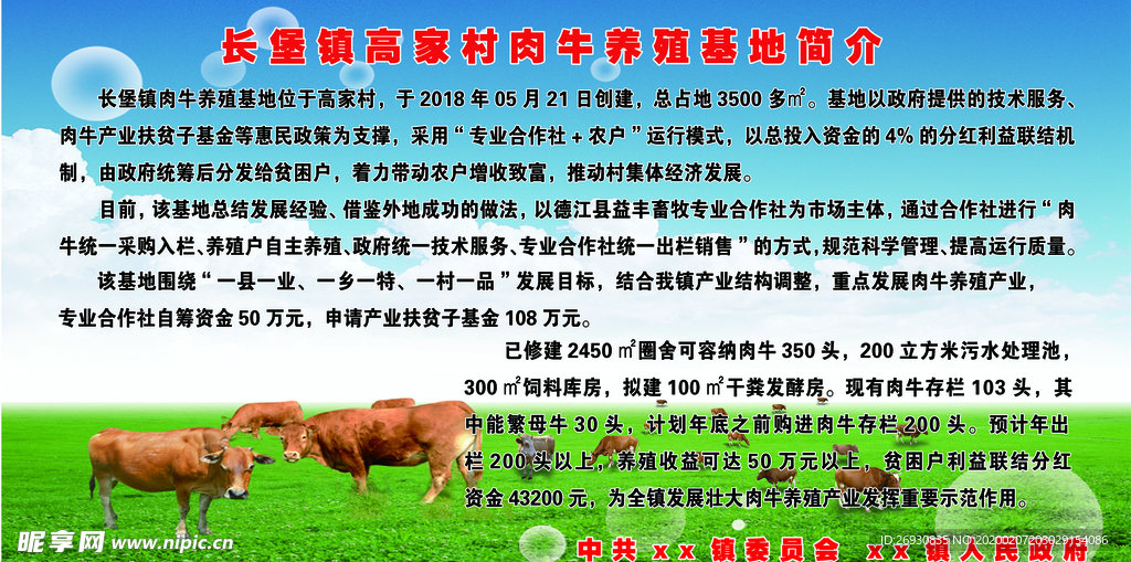 肉牛养殖基地 肉牛养殖