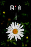 雨水