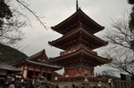 2019 京都 旅游 摄影 素