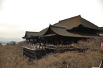 2019京都旅游摄影素材