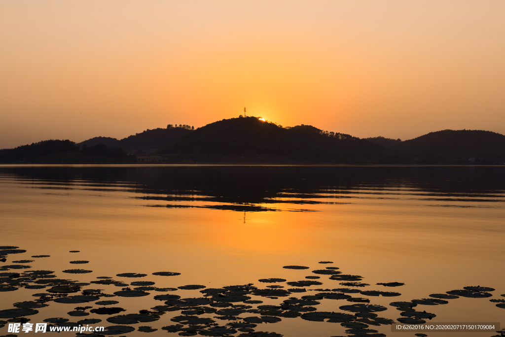 增城荔湖
