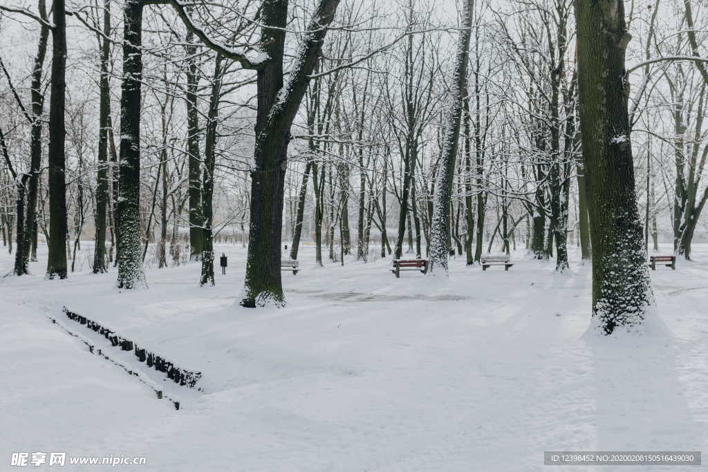 雪后的公园摄影