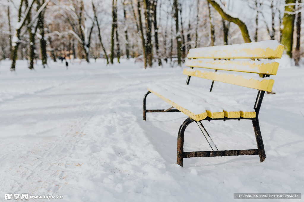 雪后的公园摄影