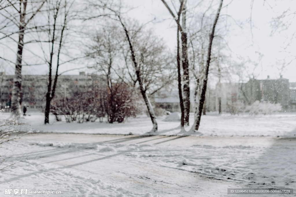 雪后的公园