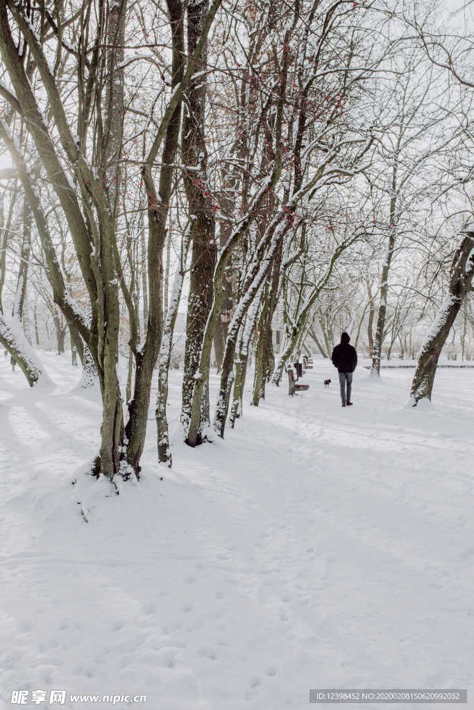 雪后的公园摄影