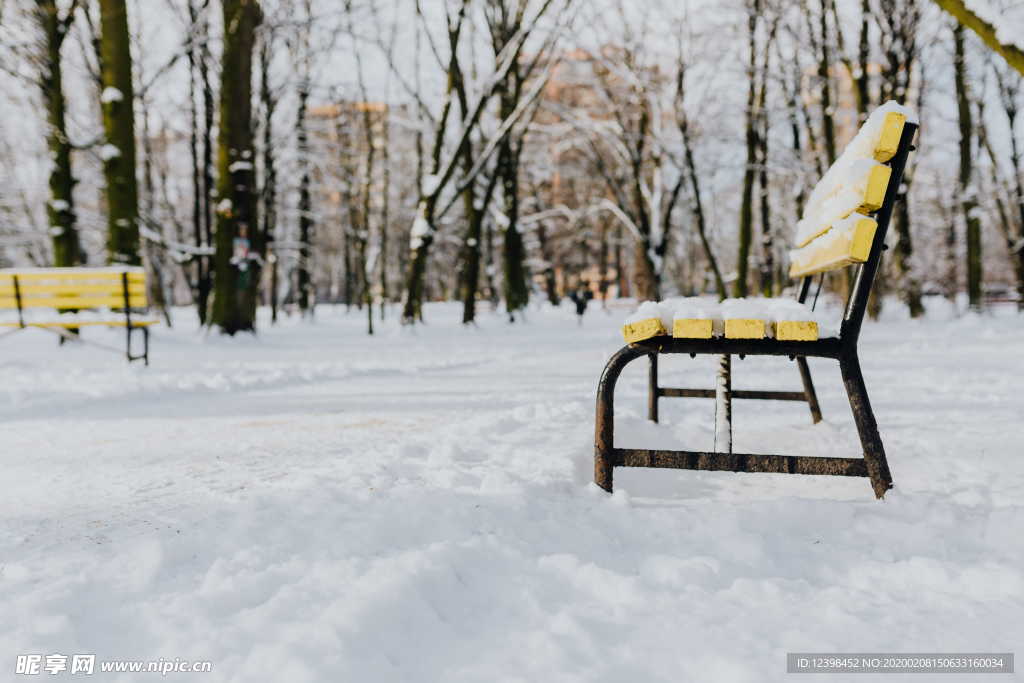 雪后的公园摄影