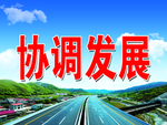 协调发展