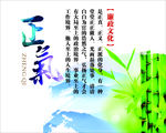 廉政文化 正气