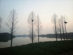金银湖 风景