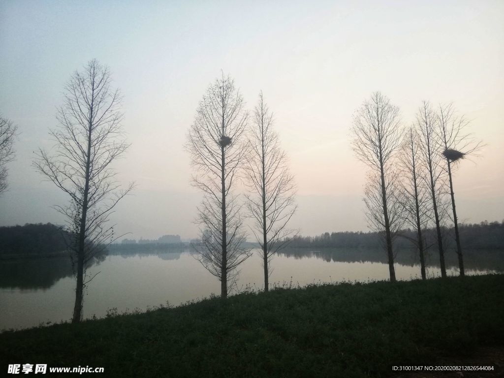 金银湖 风景