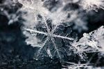 微距摄影之雪花