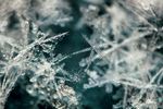 微距摄影之雪花