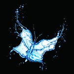 水波纹