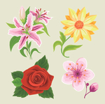 手绘鲜花