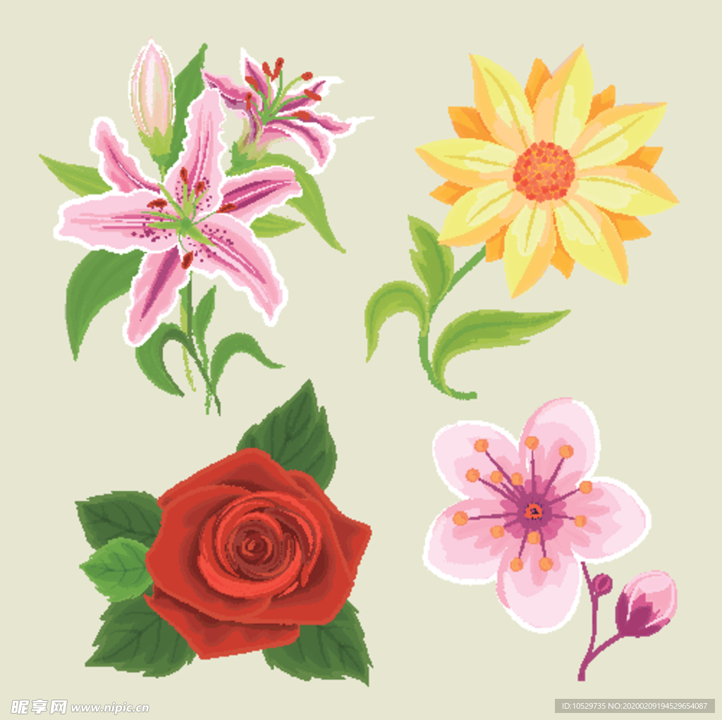 手绘鲜花