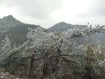 山水风光