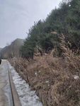山水风光