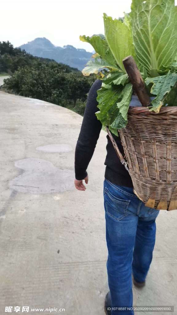 自然美景