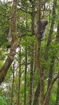 山水风光