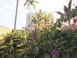 花卉