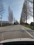 马路公路