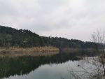 自然美景