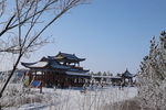 草原雪韵