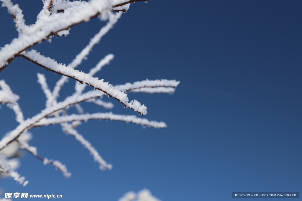 草原雪韵