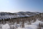 草原雪韵