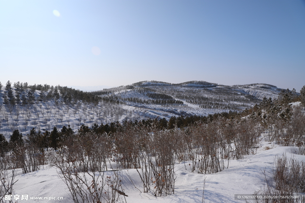 草原雪韵