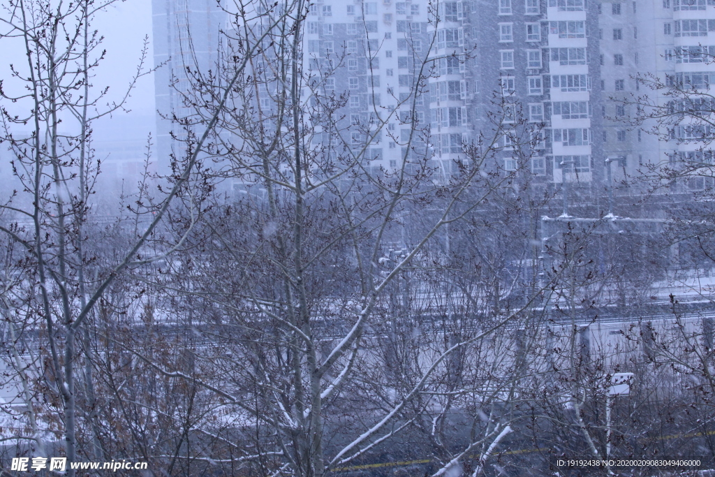 雪景