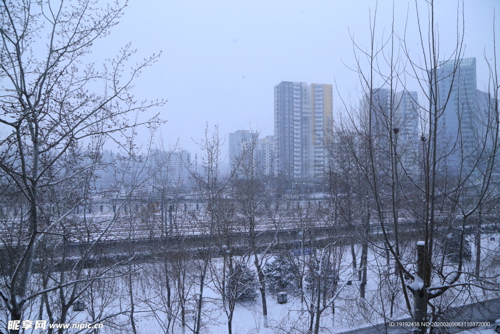 冬日雪景