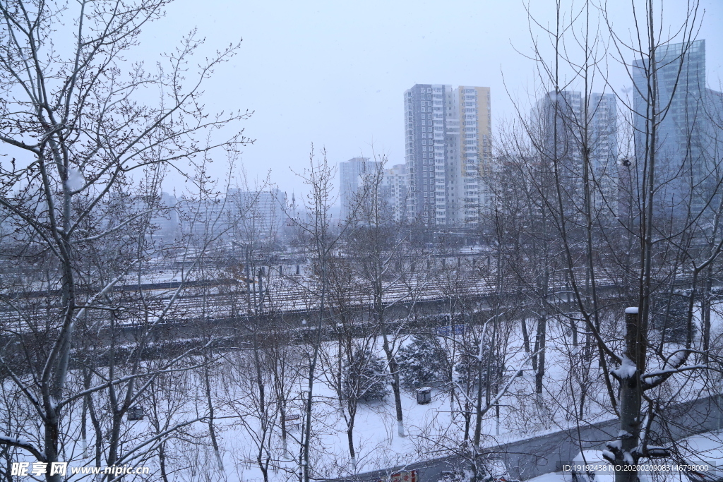 雪景