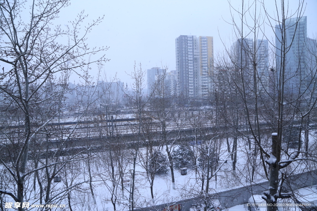 雪景