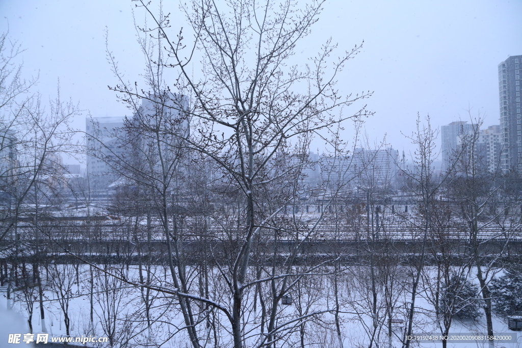 雪景