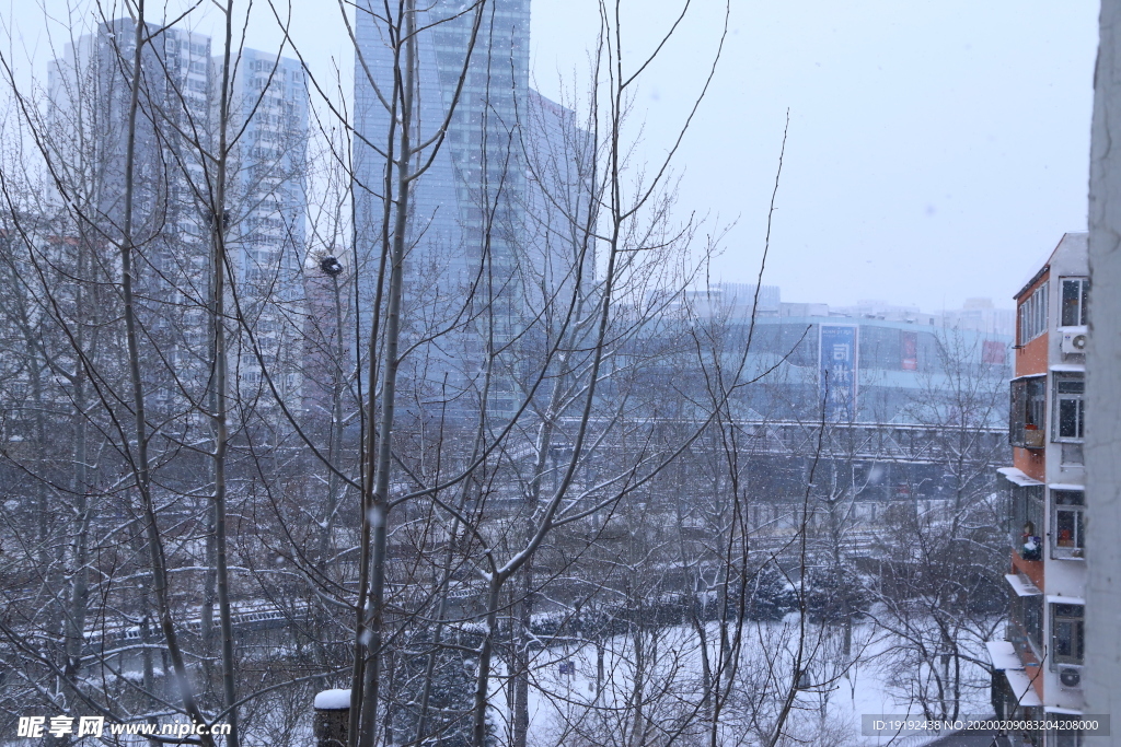 雪景