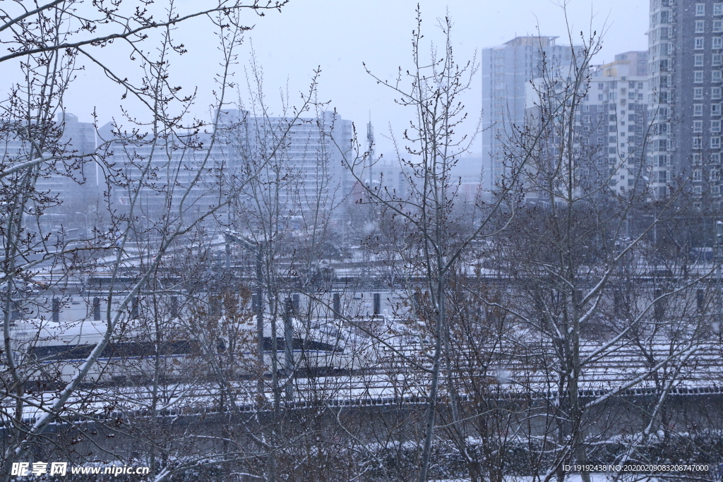 雪景