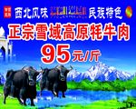 牛肉海报