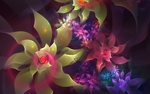 花型图案