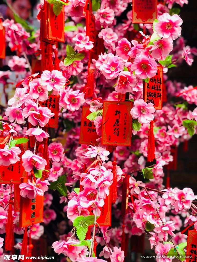 许愿树